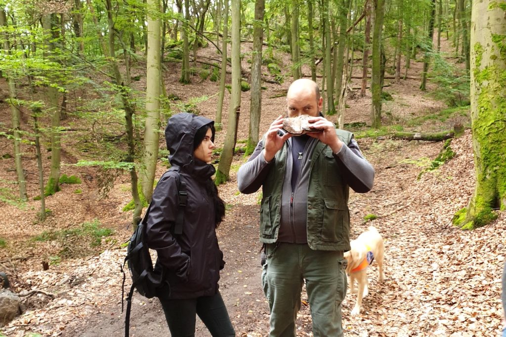 Eine Frau und ein Mann stehen im Wald. Der Mann riecht an einem Baumpilz, die Frau beobachtet ihn.