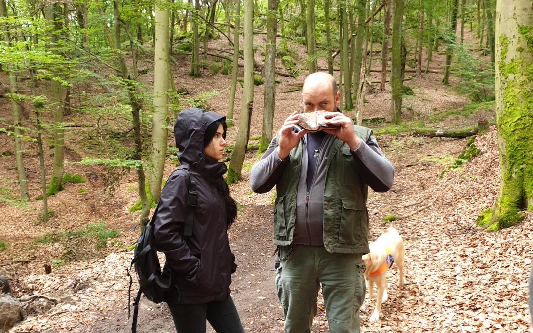Wald mal ganz anders
