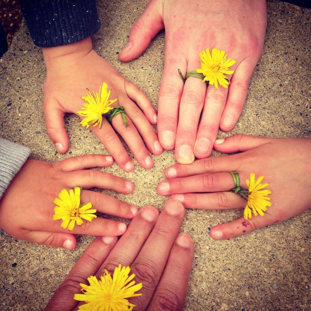 Hände mit Blumenring, Zwei Erwachsenenhände und drei Kinderhände liegen flach auf einem Tisch mit den Fingerspitzen aneinander. Jede Hand hat an einem Finger einen Ring mit einer Löwenzahnblüte.