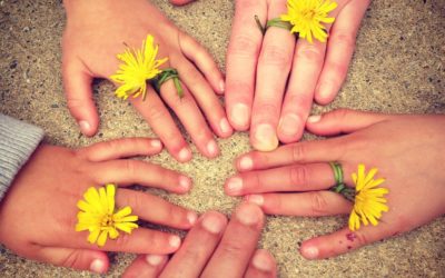 Kindergeburtstag im Wald