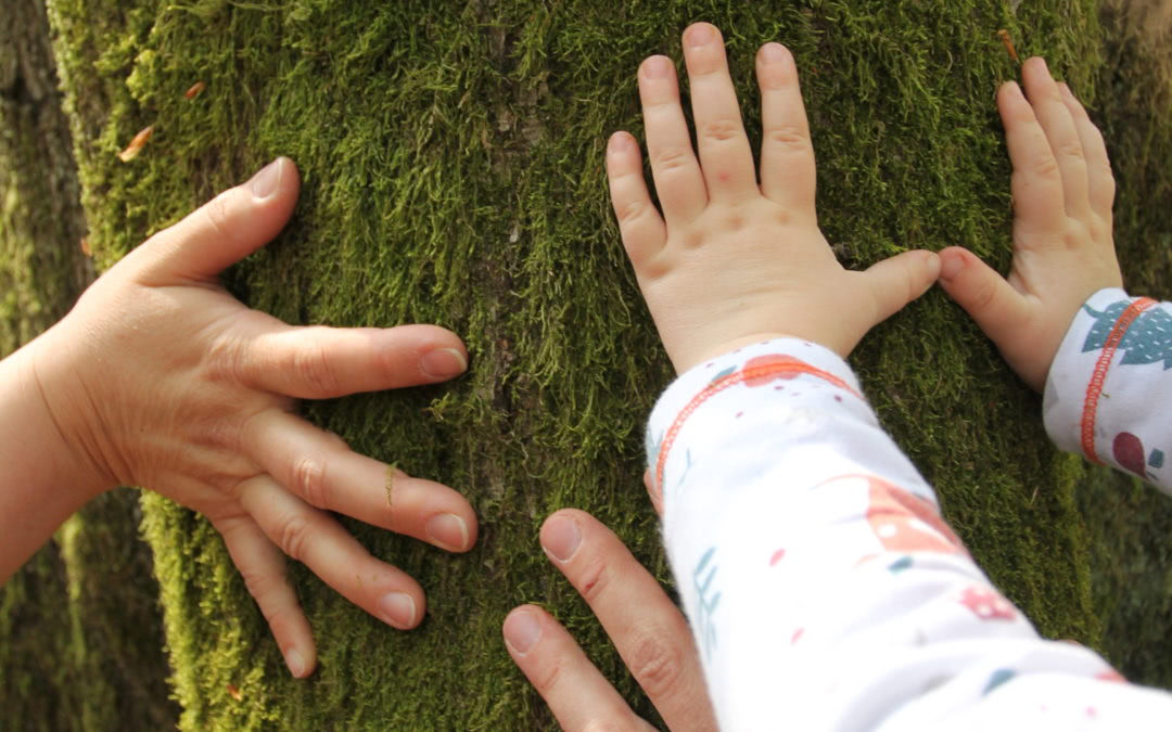 Familienexpedition im Wald