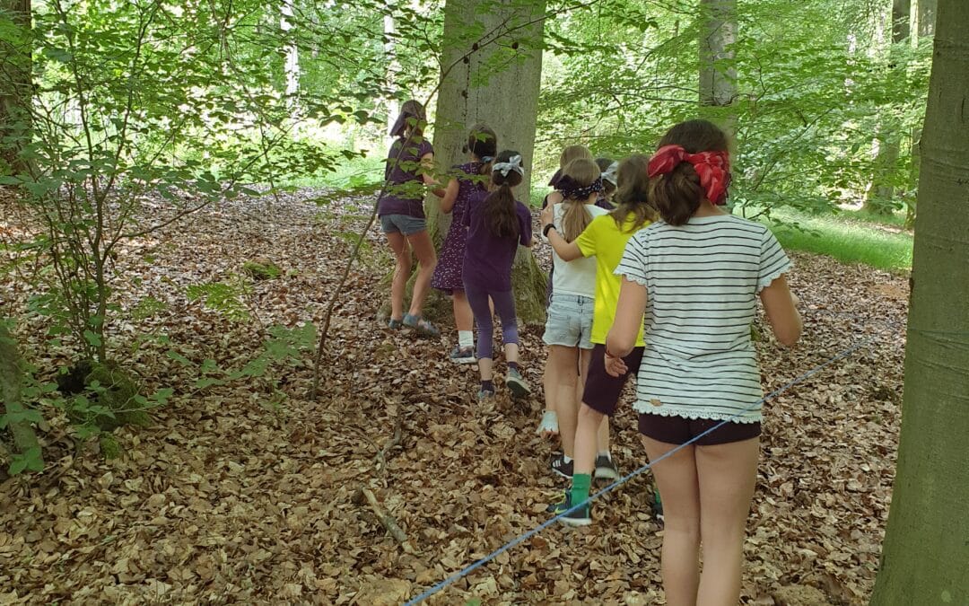 Bär, Forelle, Mücke – Erlebnisspiele im Wald